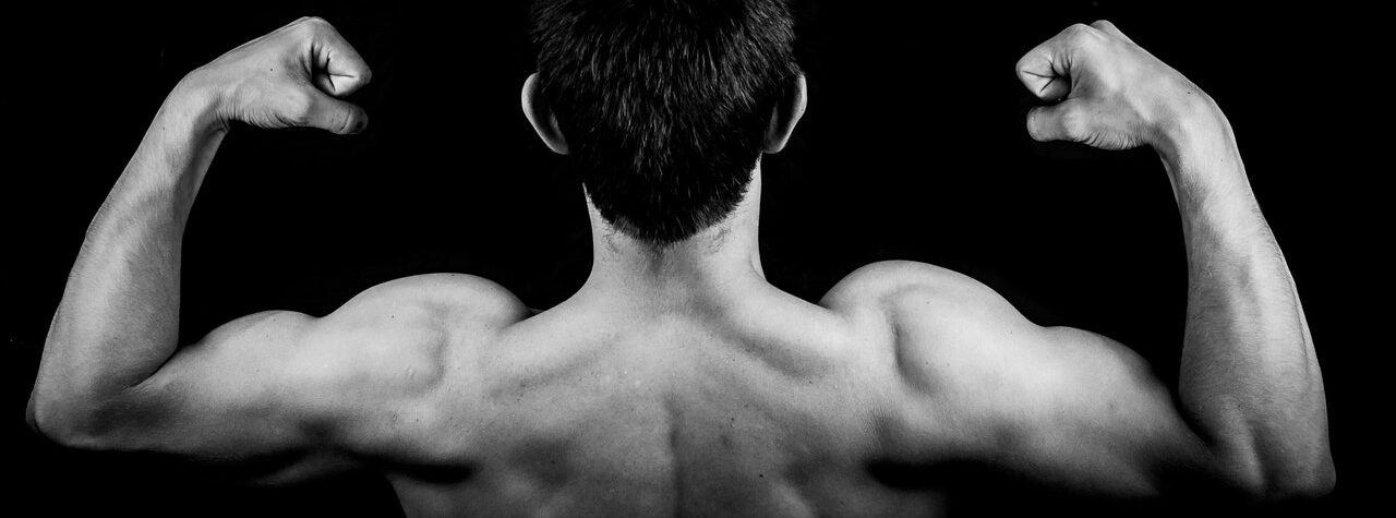 muscle muscle